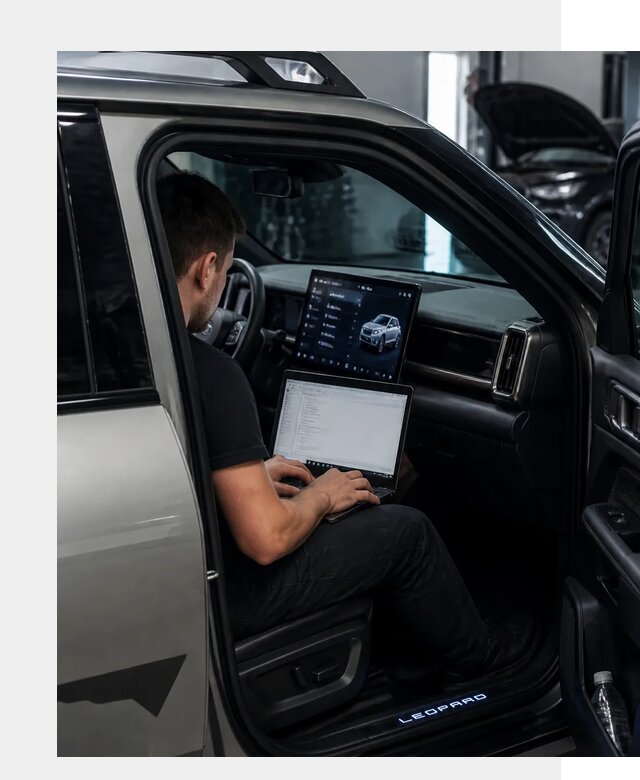 Русификация BYD Leopard 3 в Юрге по цене от 21285 р. | ФастМобиль-Юрг